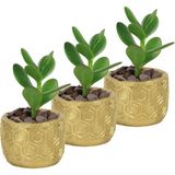 Evene Mini Çiçek Saksı Küçük Sukulent Kaktüs Saksısı 3'lü Set Altıgen - Altın