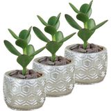 Evene Mini Çiçek Saksı Küçük Sukulent Kaktüs Saksısı 3'lü Set Altıgen - Gümüş