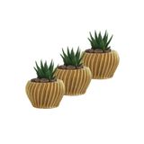 Evene Mini Çiçek Saksı Küçük Sukulent Kaktüs Saksısı 3'lü Set Derin Çizgili Spiral Model - Altın