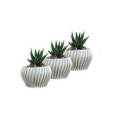 Evene Mini Çiçek Saksı Küçük Sukulent Kaktüs Saksısı 3'lü Set Derin Çizgili Spiral Model - Gümüş