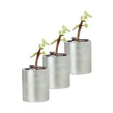 Evene Mini Çiçek Saksı Küçük Sukulent Kaktüs Saksısı 3'lü Set Düz Yuvarlak Model - Gümüş