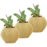 Evene Mini Çiçek Saksı Küçük Sukulent Kaktüs Saksısı 3'lü Set Ince Çizgili Spiral - Altın