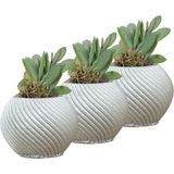 Evene Mini Çiçek Saksı Küçük Sukulent Kaktüs Saksısı 3'lü Set Ince Çizgili Spiral - Gümüş