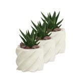 Evene Mini Çiçek Saksı Küçük Sukulent Kaktüs Saksısı 3'lü Set Kalın Çizgili Yıldız Model - Beyaz