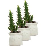 Evene Mini Çiçek Saksı Küçük Sukulent Kaktüs Saksısı 3'lü Set Kese - Beyaz