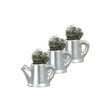Evene Mini Çiçek Saksı Küçük Sukulent Kaktüs Saksısı 3'lü Set Mini Çaydanlık Model - Gümüş