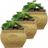 Evene Mini Çiçek Saksı Küçük Sukulent Kaktüs Saksısı 3'lü Set Mini Çizgili Çiçekli - Altın