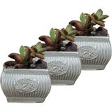 Evene Mini Çiçek Saksı Küçük Sukulent Kaktüs Saksısı 3'lü Set Mini Çizgili Çiçekli - Gümüş