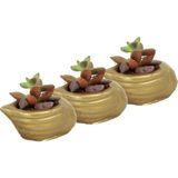 Evene Mini Çiçek Saksı Küçük Sukulent Kaktüs Saksısı 3'lü Set Mini Deniz Salyangozu - Altın