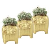 Evene Mini Çiçek Saksı Küçük Sukulent Kaktüs Saksısı 3'lü Set Mini Inek - Altın