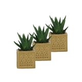 Evene Mini Çiçek Saksı Küçük Sukulent Kaktüs Saksısı 3'lü Set Mini Kare Model - Altın