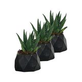 Evene Mini Çiçek Saksı Küçük Sukulent Kaktüs Saksısı 3'lü Set Mini Poly 1 Model - Siyah
