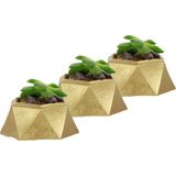 Evene Mini Çiçek Saksı Küçük Sukulent Kaktüs Saksısı 3'lü Set Mini Poly 2 - Altın