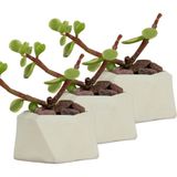 Evene Mini Çiçek Saksı Küçük Sukulent Kaktüs Saksısı 3'lü Set Mini Poly 2 - Beyaz