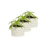 Evene Mini Çiçek Saksı Küçük Sukulent Kaktüs Saksısı 3'lü Set Puantiyeli Model - Beyaz