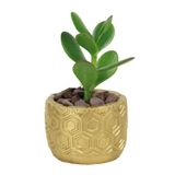 Evene Mini Çiçek Saksı Küçük Sukulent Kaktüs Saksısı Altıgen Desenli Model - Altın
