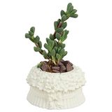 Evene Mini Çiçek Saksı Küçük Sukulent Kaktüs Saksısı Çiçekli Fiyonklu Model - Beyaz