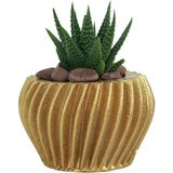 Evene Mini Çiçek Saksı Küçük Sukulent Kaktüs Saksısı Derin Çizgili Spiral Model - Altın