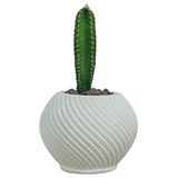 Evene Mini Çiçek Saksı Küçük Sukulent Kaktüs Saksısı Ince Çizgili Spiral Model - Beyaz