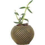 Evene Mini Çiçek Saksı Küçük Sukulent Kaktüs Saksısı Ince Çizgili Spiral Model - Gold