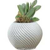 Evene Mini Çiçek Saksı Küçük Sukulent Kaktüs Saksısı Ince Çizgili Spiral Model - Gümüş