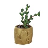 Evene Mini Çiçek Saksı Küçük Sukulent Kaktüs Saksısı Kaktüs Desenli Saksı Model - Altın