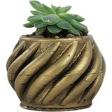 Evene Mini Çiçek Saksı Küçük Sukulent Kaktüs Saksısı Kalın Çizgili Spiral Model - Gold