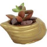 Evene Mini Çiçek Saksı Küçük Sukulent Kaktüs Saksısı Mini Deniz Salyangozu Model - Altın