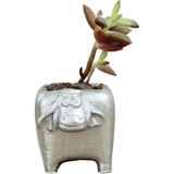 Evene Mini Çiçek Saksı Küçük Sukulent Kaktüs Saksısı Mini Inek Model - Gümüş