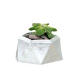 Evene Mini Çiçek Saksı Küçük Sukulent Kaktüs Saksısı Mini Poly 2 Model - Gümüş