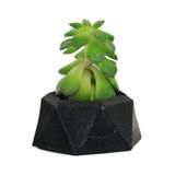 Evene Mini Çiçek Saksı Küçük Sukulent Kaktüs Saksısı Mini Poly 2 Model - Siyah