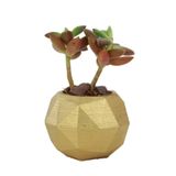 Evene Mini Çiçek Saksı Küçük Sukulent Kaktüs Saksısı Mini Poly Silindir Model - Altın