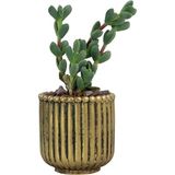 Evene Mini Çiçek Saksı Küçük Sukulent Kaktüs Saksısı Vintage Düz Çizgili Model - Siyah - Altın
