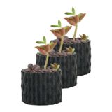 Evene Mini Çiçek Saksı Küçük Sukulent Siyah Kaktüs Saksısı 3'lü Set Baklava Çizgili Model