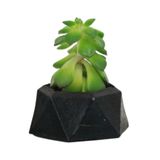 Evene Mini Çiçek Saksı Küçük Sukulent Siyah Kaktüs Saksısı Mini Poly 2 Model, eminipoly2saksi