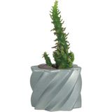 Evene Mini Çiçek Saksısı Küçük Sukulent Gümüş Kaktüs Saksı Kalın Çizgili Yıldız Model