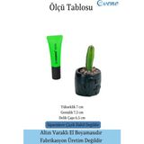 Evene Mini Çiçek Saksısı Küçük Sukulent Kaktüs Desenli Model - Siyah