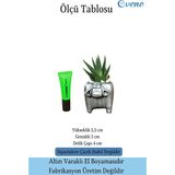 Evene Mini Çiçek Saksısı Küçük Sukulent Kaktüs Saksı Mini Inek Model - Siyah - Gri