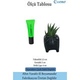 Evene Mini Çiçek Saksısı Küçük Sukulent Kaktüs Saksı Mini Inek Model - Siyah