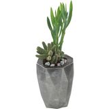 Evene Saksı Çiçek Kaktüs Saksısı Lüx 10 cm Altın Eskitme Varak Boyalı Poly Desen Saksı Çiçeklik - Gümüş