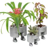 Evene Saksı Çiçek Kaktüs Saksısı Lüx 13 cm Pantolon Desenli 3'lü Set Çiçeklik - Gümüş