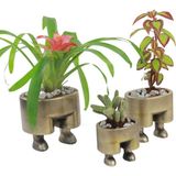 Evene Saksı Çiçek Kaktüs Saksısı Lüx 13 cm Pantolon Desenli 3'lü Set Çiçeklik - Sarı
