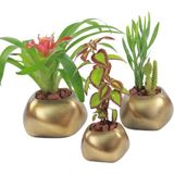 Evene Saksı Çiçek Kaktüs Saksısı Lüx 14 cm Elips Desenli 3'lü Set Çiçeklik - Gold