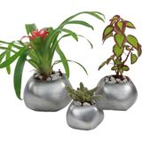 Evene Saksı Çiçek Kaktüs Saksısı Lüx 14 cm Elips Desenli 3'lü Set Çiçeklik - Gri