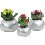 Evene Saksı Çiçek Kaktüs Saksısı Lüx 14 cm Elips Desenli 3'lü Set Çiçeklik - Gümüş
