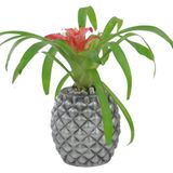 Evene Saksı Çiçek Kaktüs Saksısı Lüx 15 cm Ananas Desen Saksı Çiçeklik - Gri