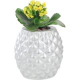 Evene Saksı Çiçek Kaktüs Saksısı Lüx 15 cm Ananas Desen Saksı Çiçeklik - Gümüş