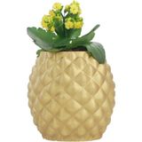 Evene Saksı Çiçek Kaktüs Saksısı Lüx 15 cm Ananas Desen Saksı Çiçeklik
