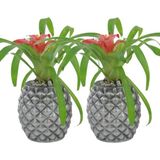 Evene Saksı Çiçek Kaktüs Saksısı Lüx 15 cm Ananas Desenli 2'li Set Çiçeklik - Gümüş