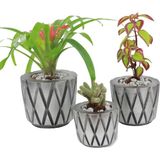 Evene Saksı Çiçek Kaktüs Saksısı Lüx 15 cm Baklava Desenli 3'lü Set Çiçeklik - Gümüş